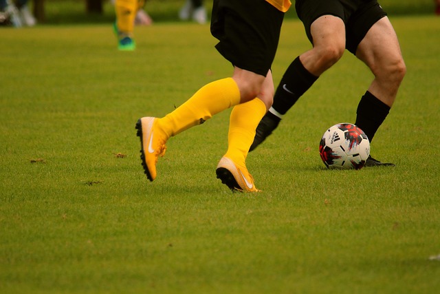 固定形态具 固定形态具